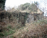 Biddy Early's Cottage Photo: Sandy Hicks